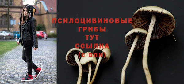 ГАЛЛЮЦИНОГЕННЫЕ ГРИБЫ Алексеевка