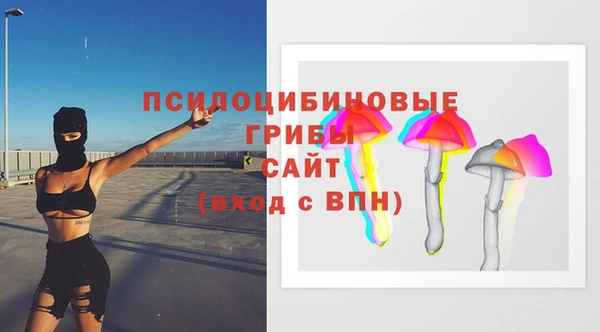 ГАЛЛЮЦИНОГЕННЫЕ ГРИБЫ Алексеевка