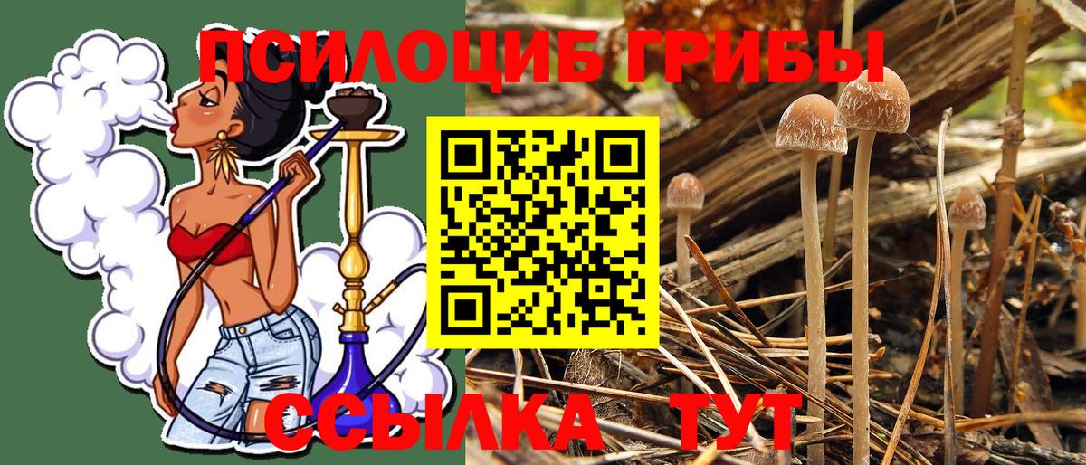 Галлюциногенные грибы Psilocybine cubensis  Вход с VPN  Конаково  Галлюциногенные грибы ЛСД 